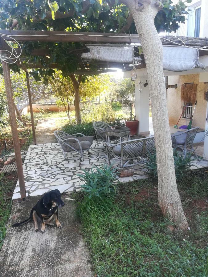 Country Rooms Near Athens - Airport Vravrona Extérieur photo